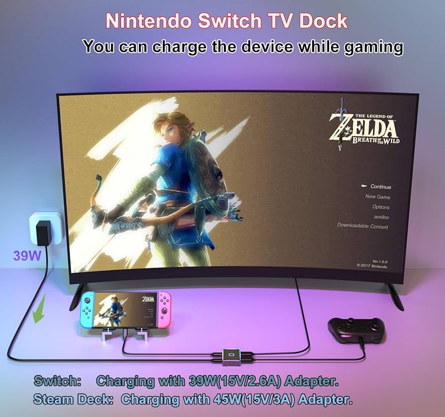 Amazon.com: for Nintendo Switch TV Dock,USB-C to HDMI