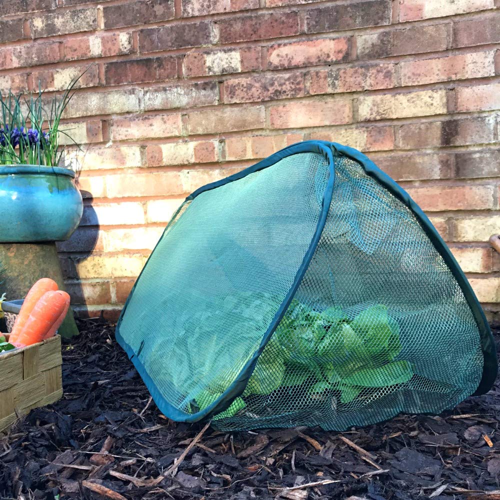 Buy GardenSkill PopUp Garden Cloche Tunnel Mini Grow House and Plant