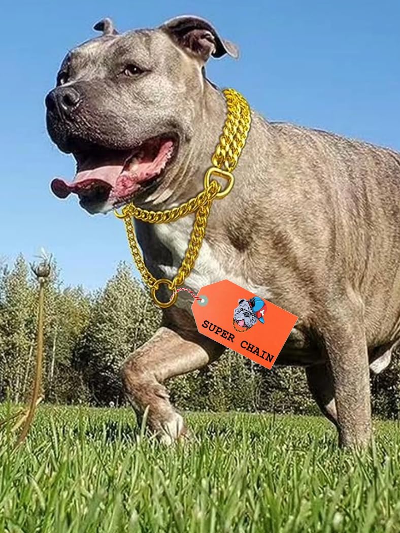 SUPER CHAIN Dog Choke Chain- for Medium and Small Dog Neckless (Gold Color, 2 Layer) Dog Collar & Chain (Medium, Gold) (B0CHGQ5L62) Amazon Price History, Amazon Price Tracker