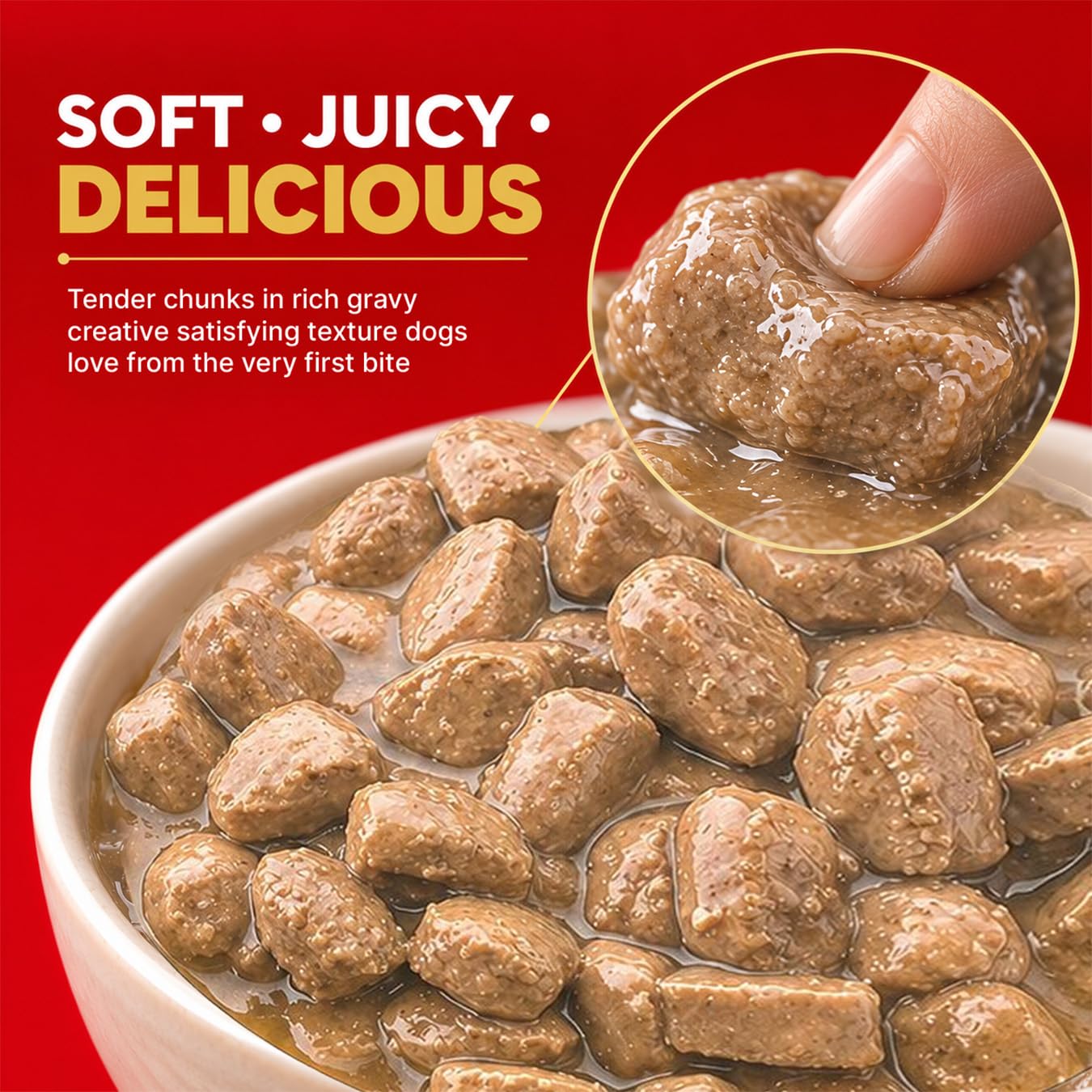 Drools Adult Wet Dog Food (12 x 60g) | Real Chicken & Liver Chunks in Gravy | Supports Skin, Coat, Joint Health & Easy Digestion 2