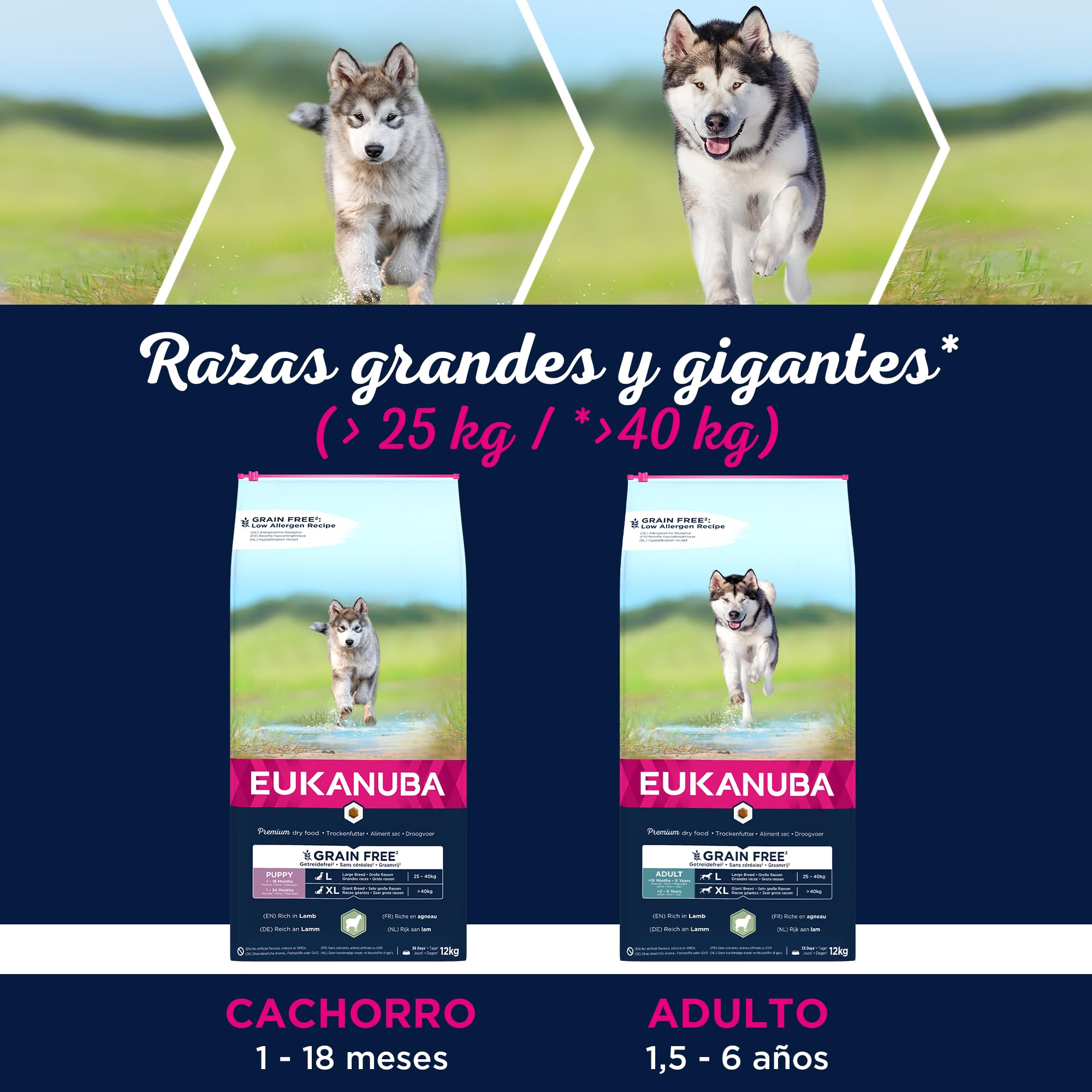 EUKANUBA Grain Free * Alimento para cachorros de razas grandes, rico en cordero, 12kg