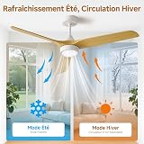 Ateroll Ventilateur Plafond Télécommande, Ventilateur de Plafond Design & Silencieux, Ø132 cm en ABS, Ventilateur Dimmable Plafonnier 6 Vitesses, Minuterie 3 Températures LED Chambre, Salon & Terrasse - 3