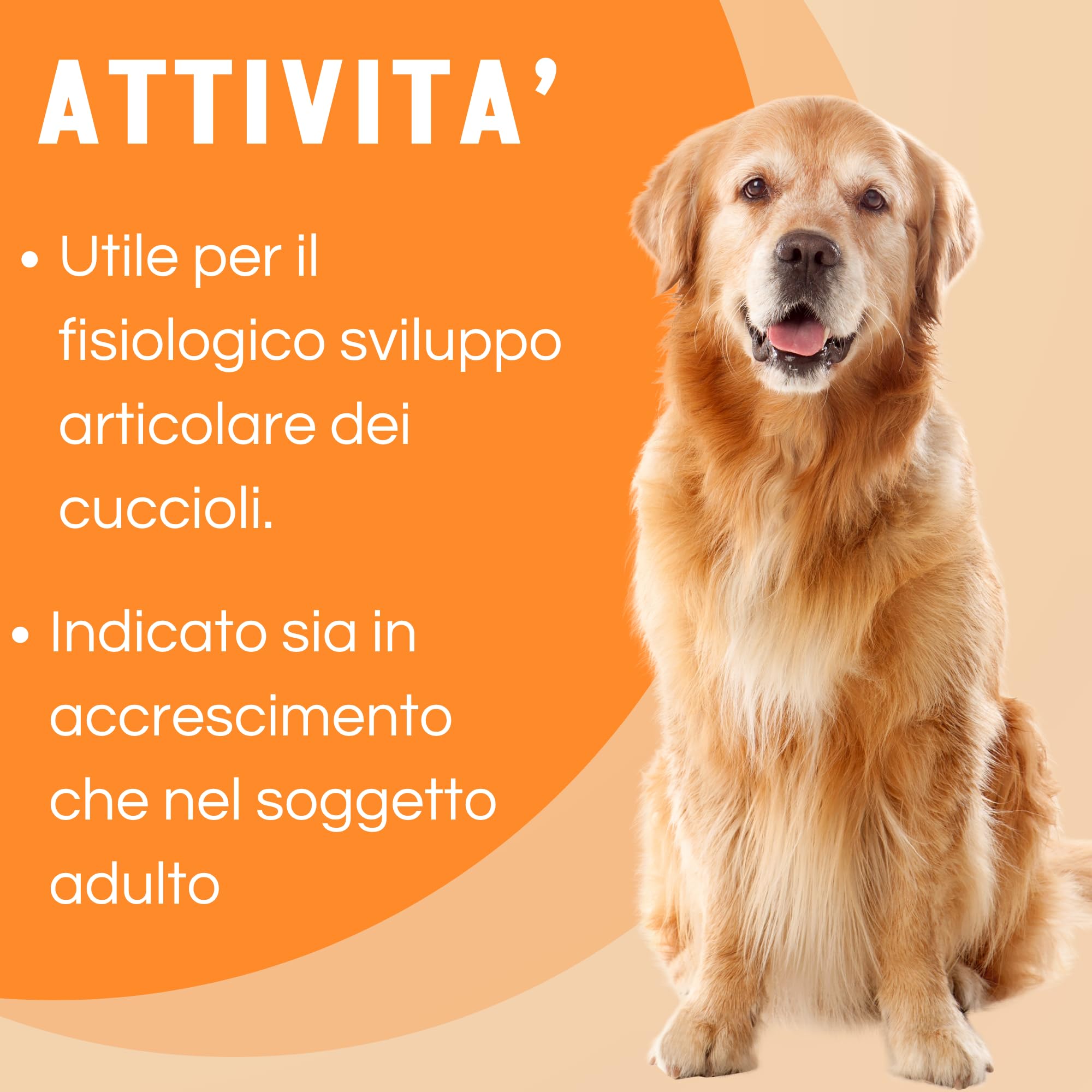 Motix Puppy Suplement stawów dla psów - 100 tabletek 1000 mg - Hydrolizowany kolagen Petagile i Glukozamina - wspomaganie wzrostu i mobilności, witaminy C/E i niezbędne minerały