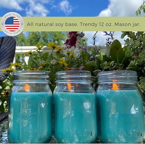 Miniatura 2 de Velas de menta fresca con aceites esenciales, fabricadas en Estados Unidos, (juego de 3) para patio, terraza, uso en exteriores o interiores, 88