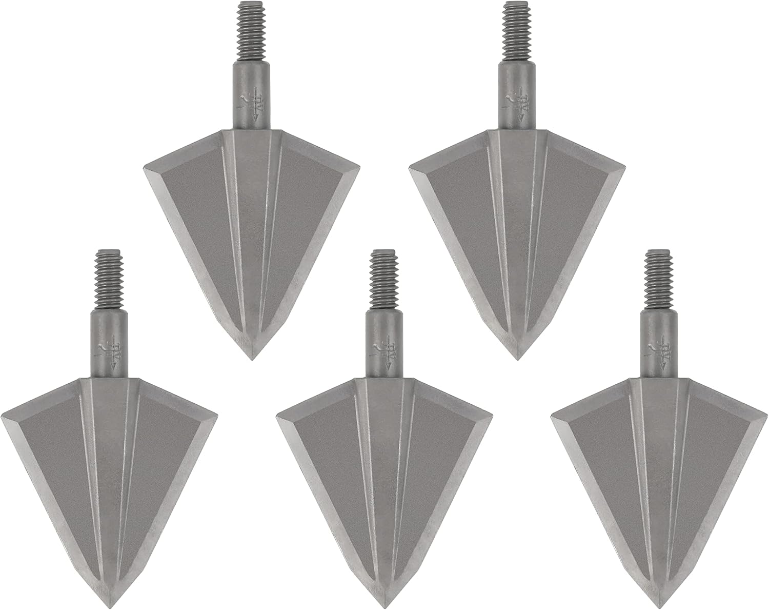 AMEYXGS 6pcs Archery Hunting Arrowheads 2 Blade Broadhead Screw-in Arrow Tips for Compound Bow and Recurve Bow