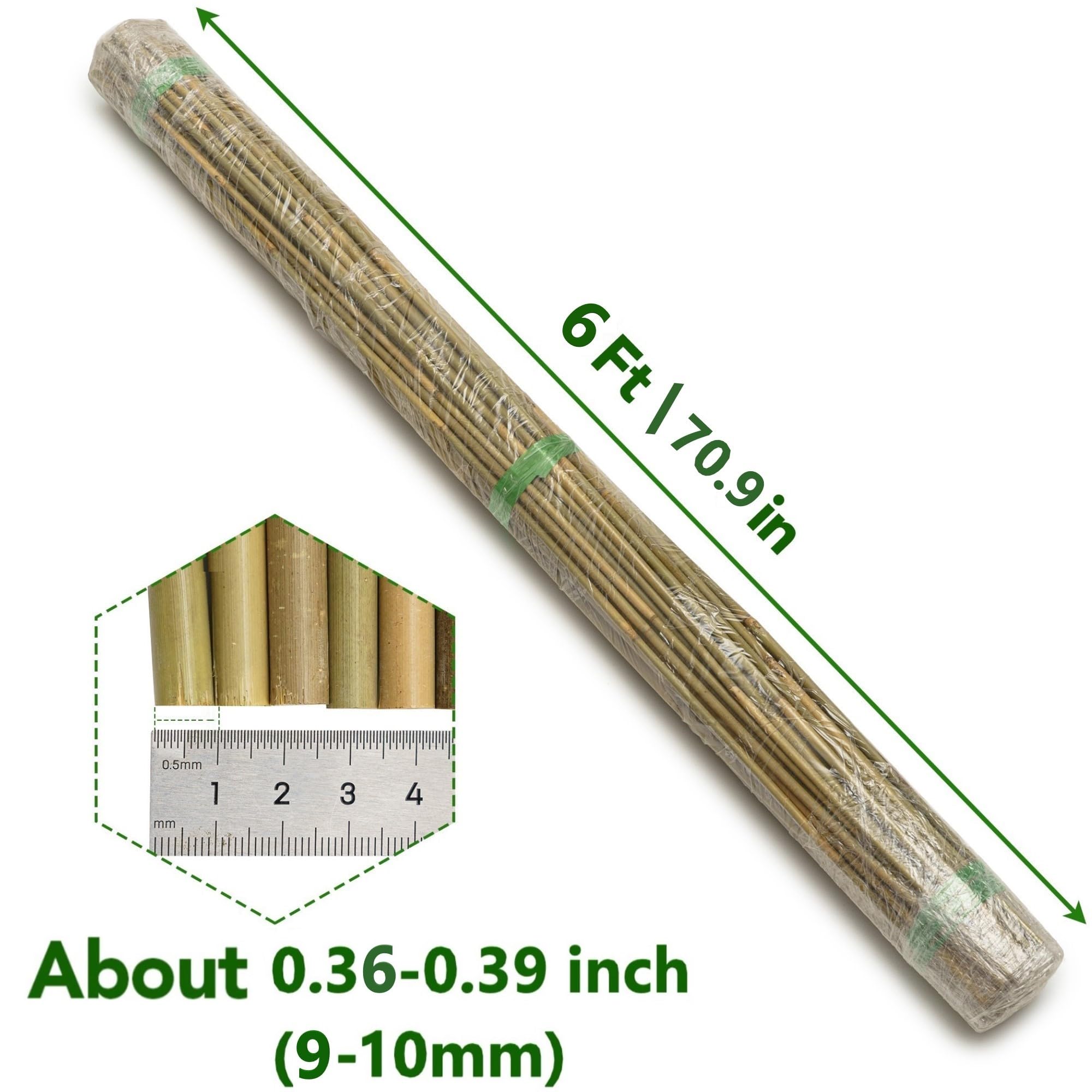 Taoskai 60Pcs Bamboo Stakes for Plant 5 Feet(57.5 inch), Garden Bamboo Plant Stakes for Plants Support, Climbing Plants, Tomatoes, Sunflowers, Beans, Potted Plants, Trees: 6ft-50 Pcs