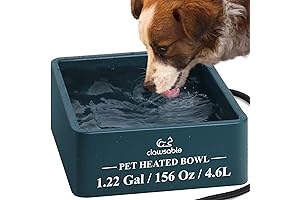 Heated Chicken Waterer 5 Gallon Outdoor Heated Dog Bowl