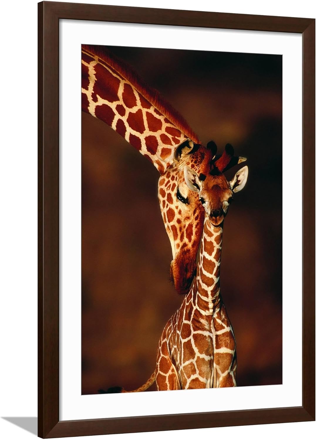 ART.COM Framed Wall Art Prints Giraffe and Baby by Lantern Press, Animals Decor, 24" x 36", Espresso Frame with White Mat