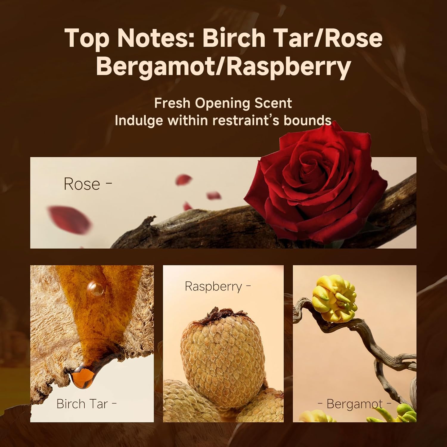 Venrock Oriental Oud Noir EDP Spray 50ml - Oriental Woody Men’s Perfume, Long-Lasting Arabian Scent, Premium for Special Occasions & Daily Use (Agarwood, Saffron, Amber, Musk) - Image 3