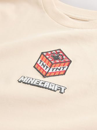 NEXT Boys Minecraft T-Shirts 2 Pack