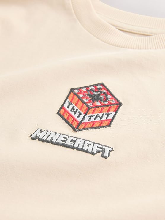 NEXT Boys Minecraft T-Shirts 2 Pack