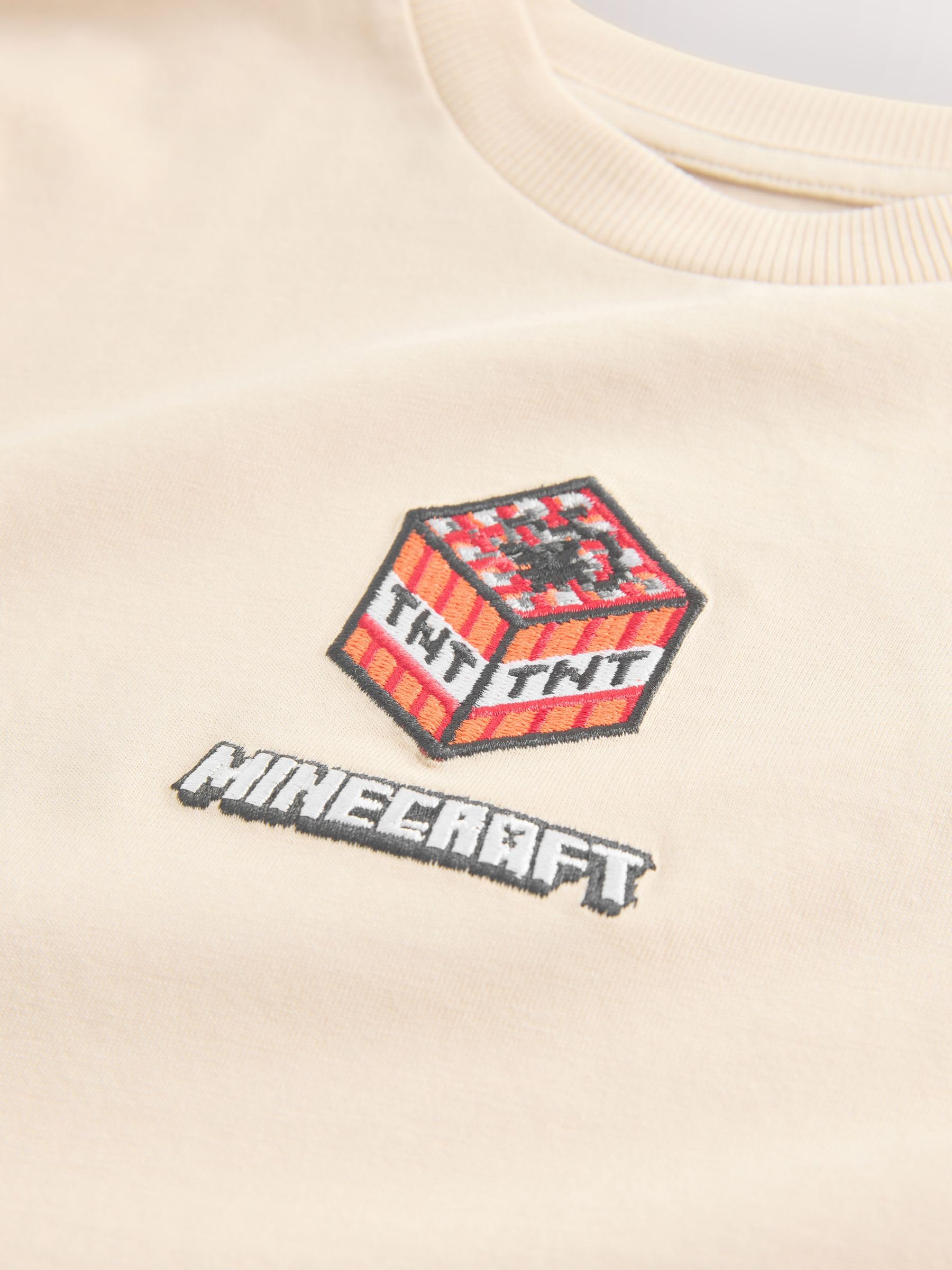 NEXT Jungen Minecraft T-Shirts, 2er-Pack