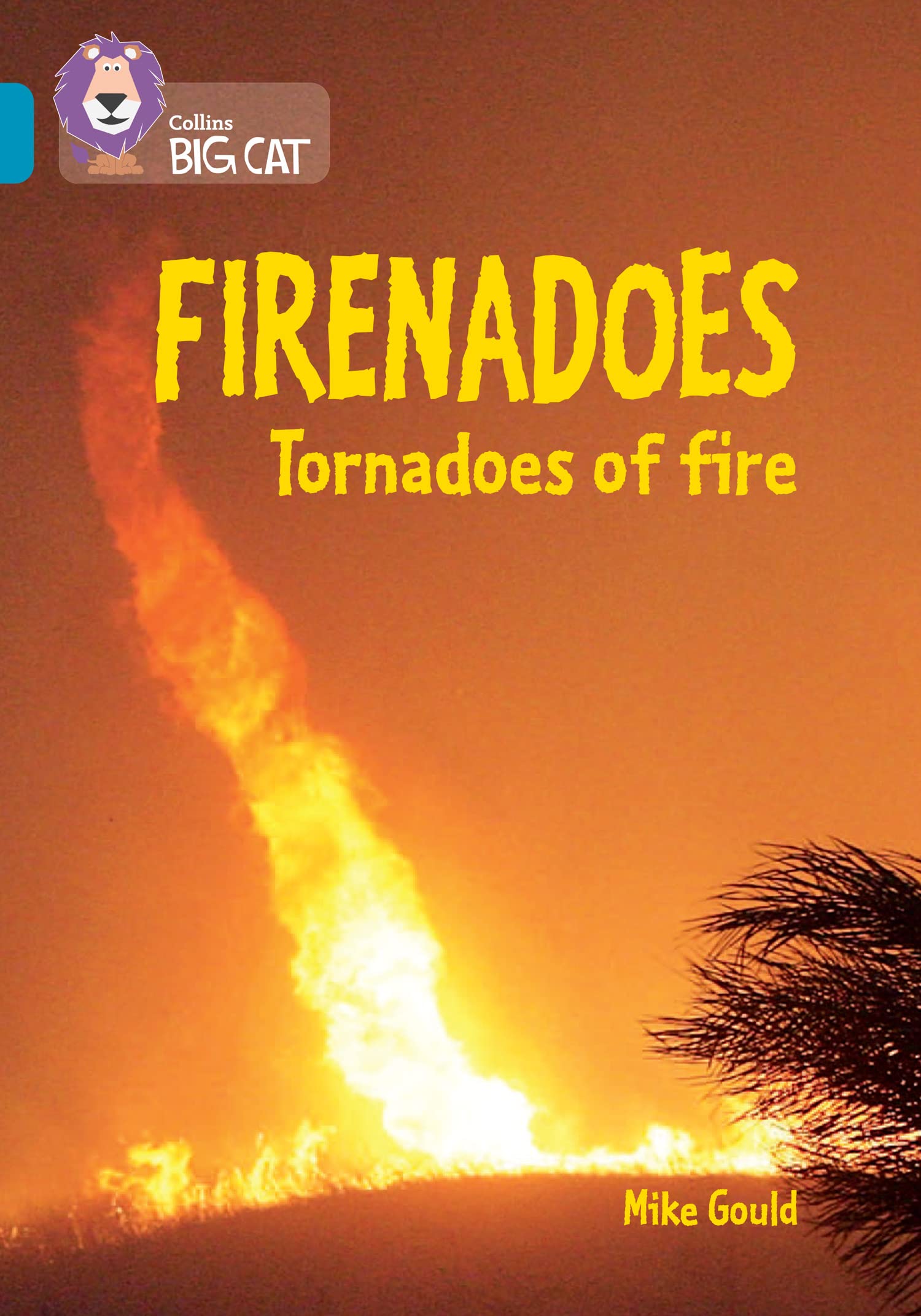 Collins Big Cat ― FIRENADOS: TORNADOES OF FIRE: Band 13/Topaz: Band 13/Topaz