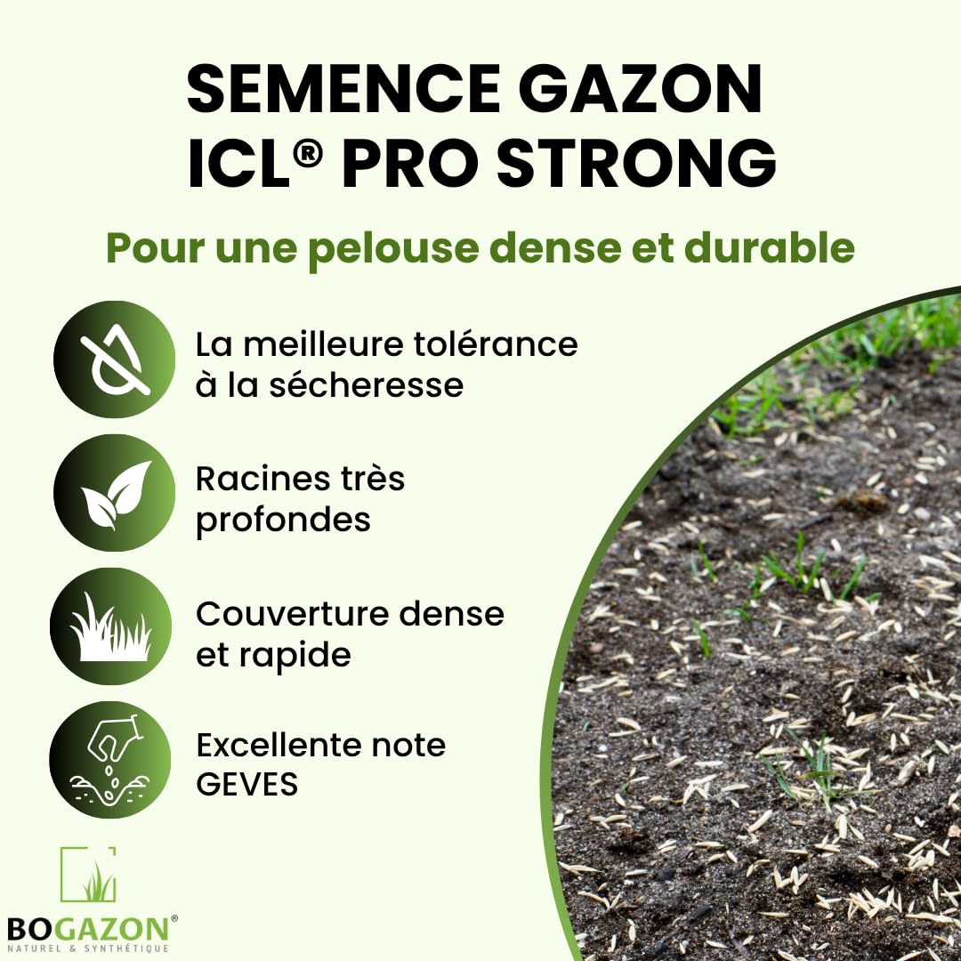 Gazon a semer ICL Pro Strong 10 kg| Graines de Gazon Rustique Résistant Sécheresse Racines Profondes | Semence Universel au Rendement Élevé
