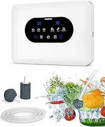 Gerador De Ozônio Para Água E Ar Com Saídas Duplas, Ionizadores De Ar Para Casa, Com Íons Negativos E Temporizador