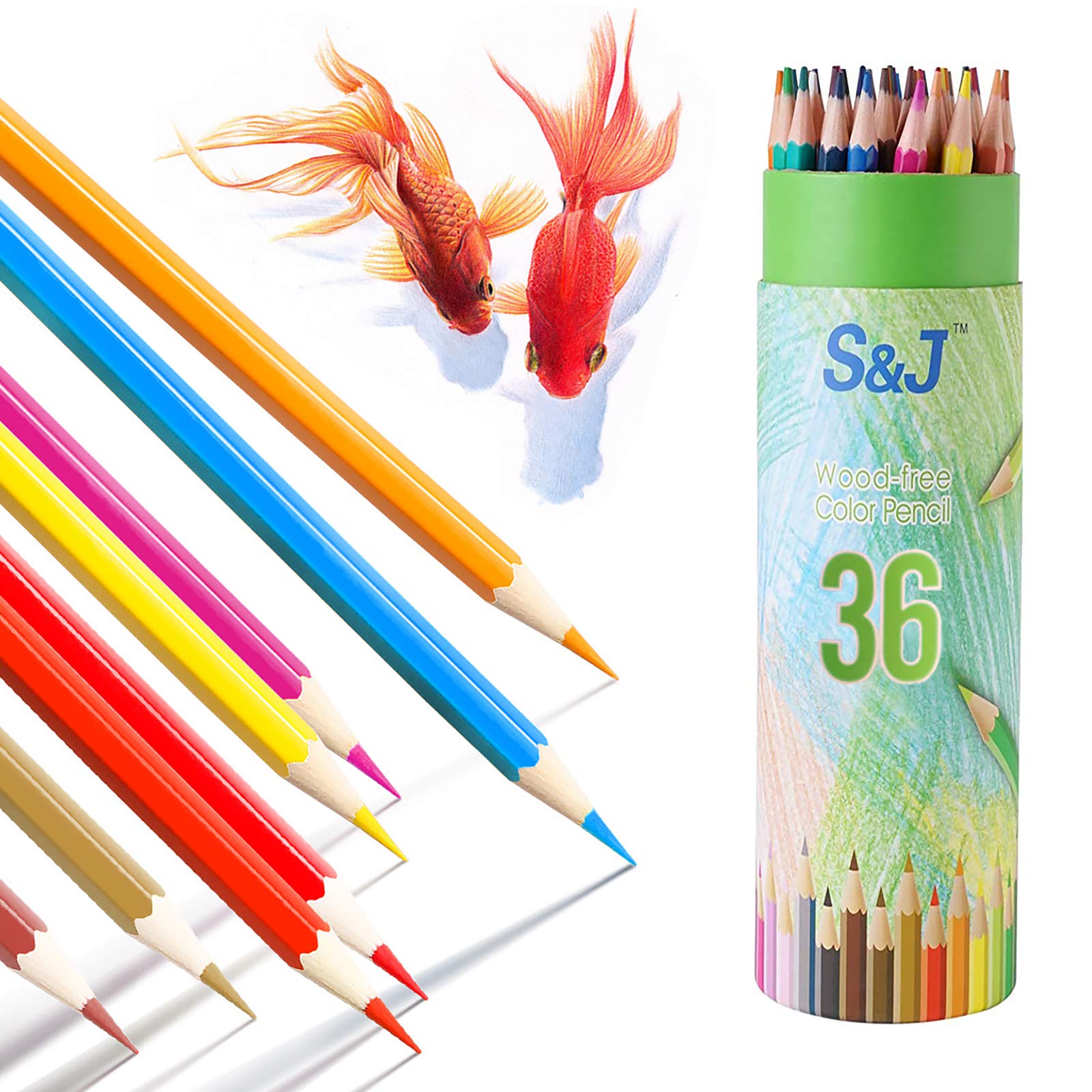 Buy JUSCH Colored Pencils, 36 Pack Colored Pencils for Adult Coloring