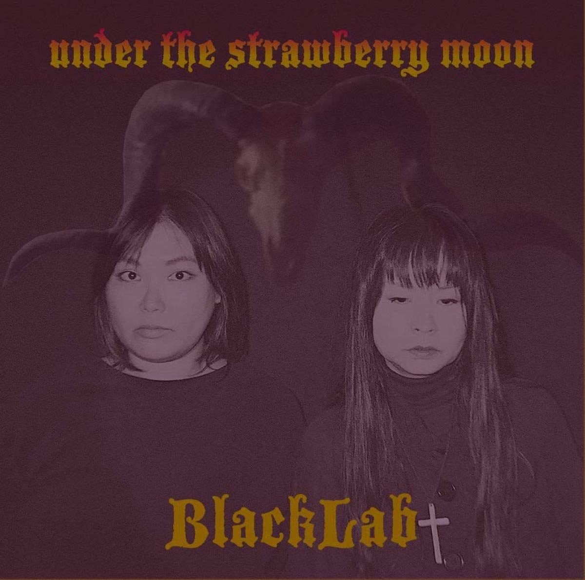 Blacklab Under the Strawberry Moon CD NHSCD024 NEW