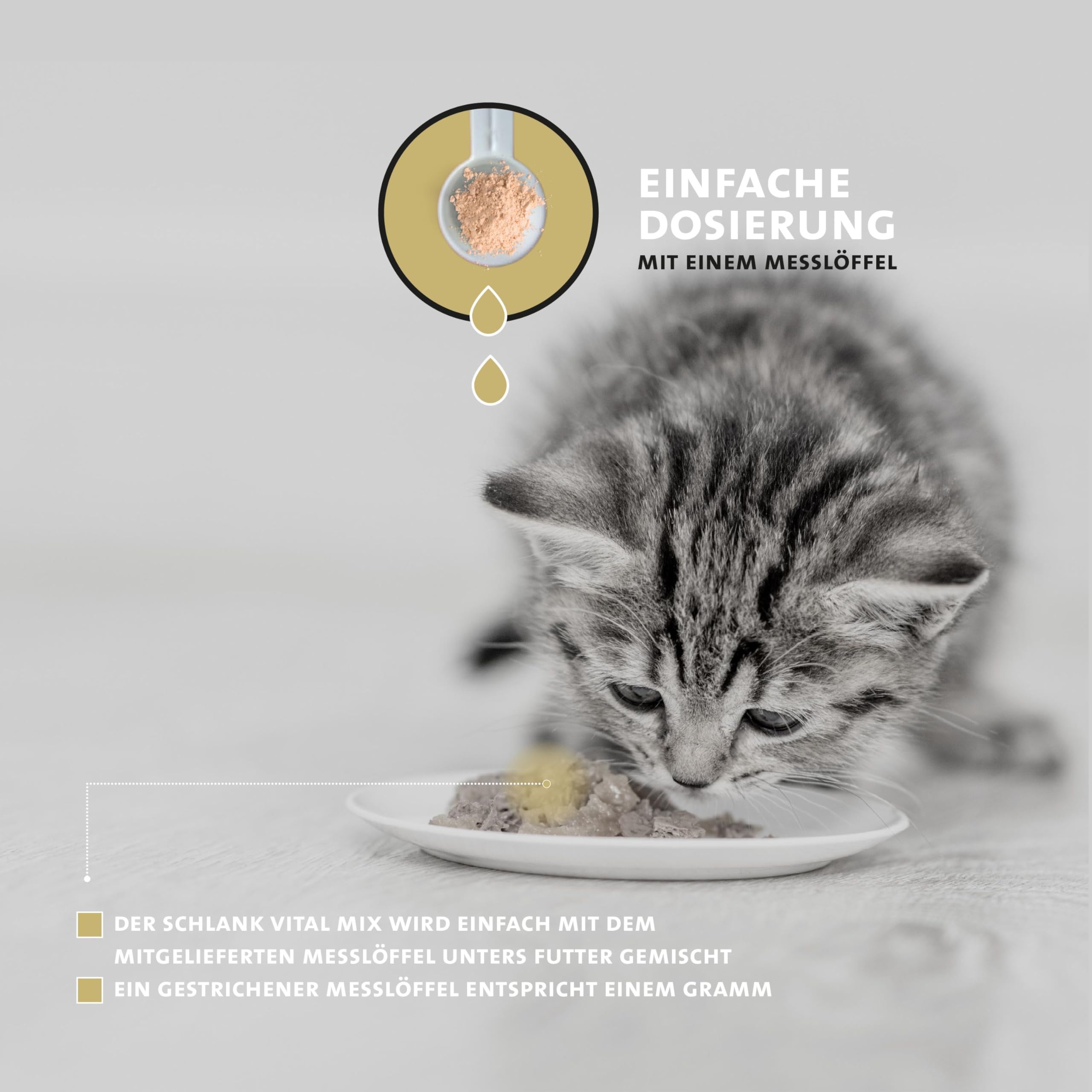 Peticare Suplemento Natural para Gatos | Fórmula Vegetal para acompañar el Control del Peso y la saciedad | Fácil de dosificar | petCat Health 3606
