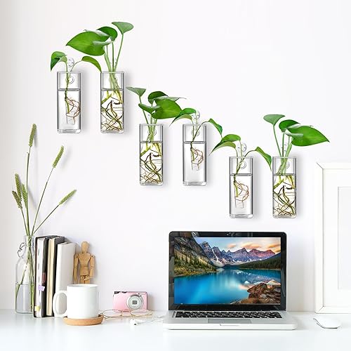 Miniatura 7 de Fasmov Paquete de 6 macetas de vidrio para colgar en la pared, terrario, soportes para plantas de aire, plantas de aire, suculentas, flores,