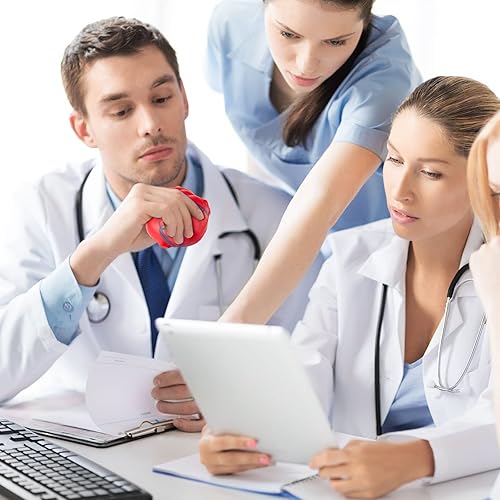 Miniatura 3 de Hungdao Anatomy Stress Set 2 piezas corazón con cerebro bola de espuma de poliuretano para el estrés, bola de anatomía falsa para el cuidado de la