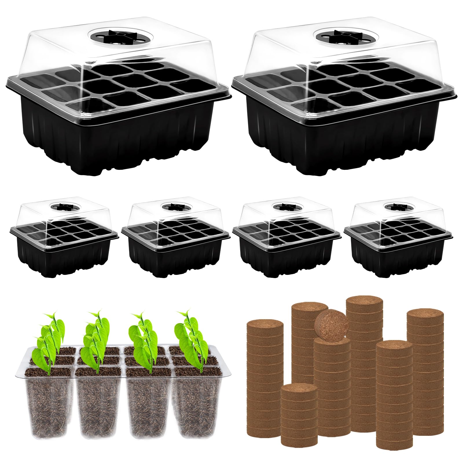 Amazon.com : ZeeDix 6 Set Seed Starter Tray Kits, 6 Pack Seed