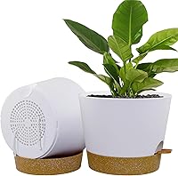 Vista 14 de Macetas de riego automático para plantas de interior, macetas de 12 pulgadas con agujeros de drenaje, macetas de plástico con depósito profundo