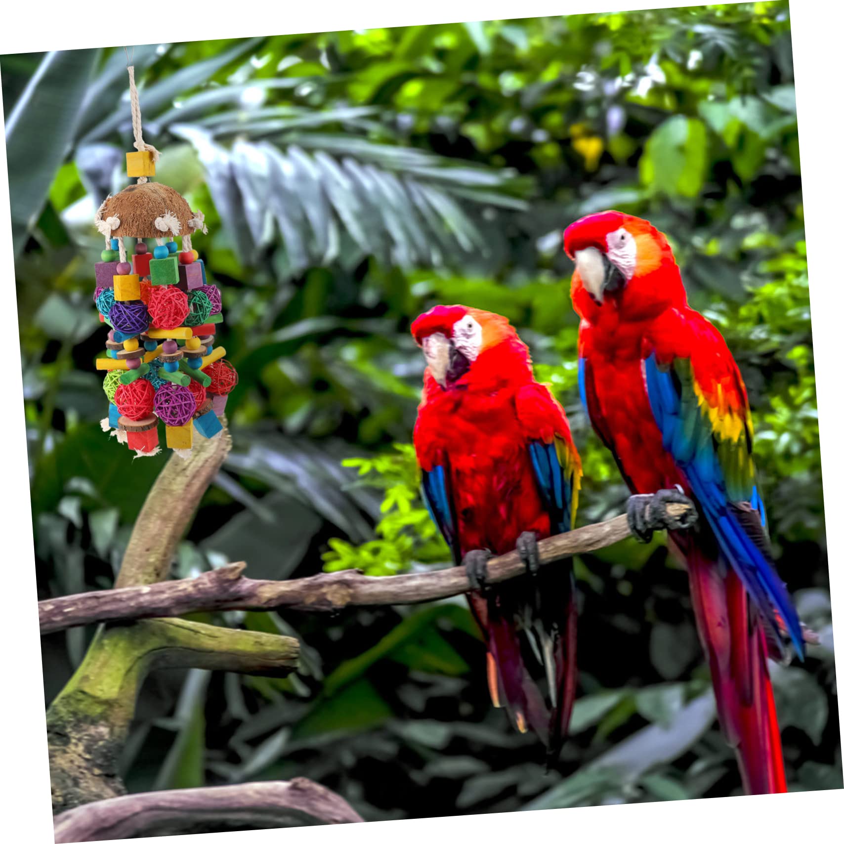 Toddmomy 1pièces Jouet à Mâcher pour Perroquet Jouet à Mordre pour Oiseau Suspendus pour Perroquet Accessoires pour Cage