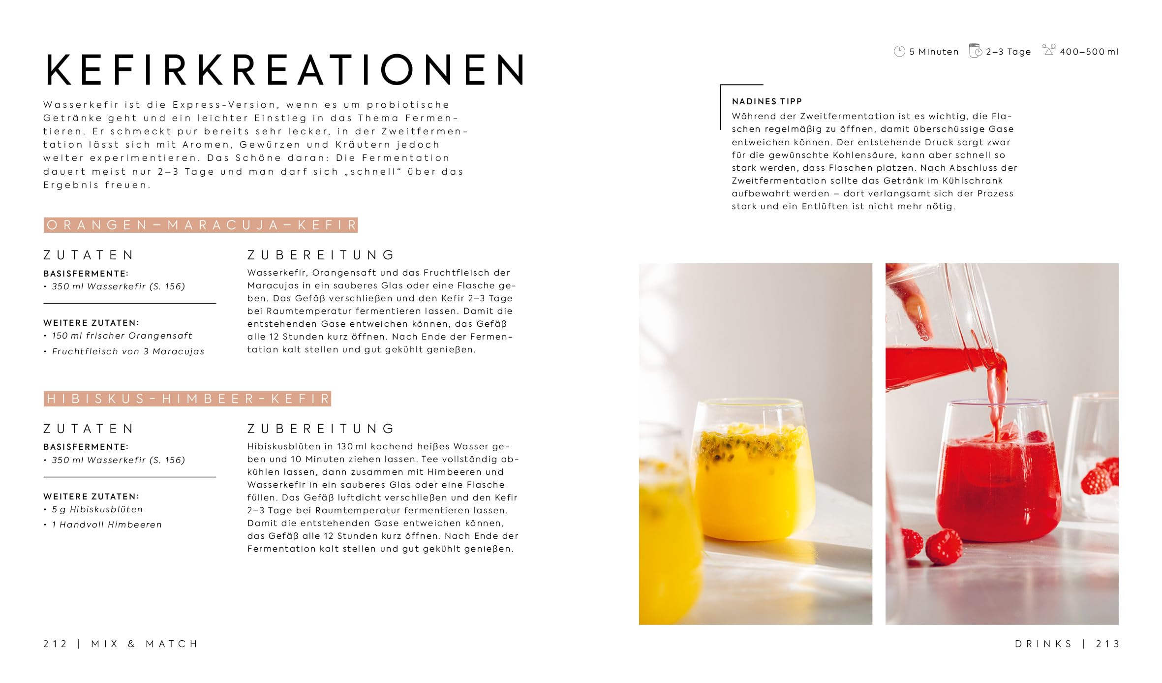 Fermentieren – Twist your Taste!: Einfach fermentieren – vielseitig kombinieren | Kimchi, Kombucha, Kefir, Sauerteig und mehr. Natürliche Fermente für eine probiotische Ernährung aus dem Lieblingsglas