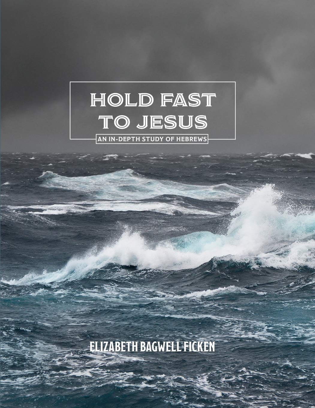 Hold Fast to Jesus: An in-depth study of Hebrews (In-depth Bible Study Series by Elizabeth Ficken)
