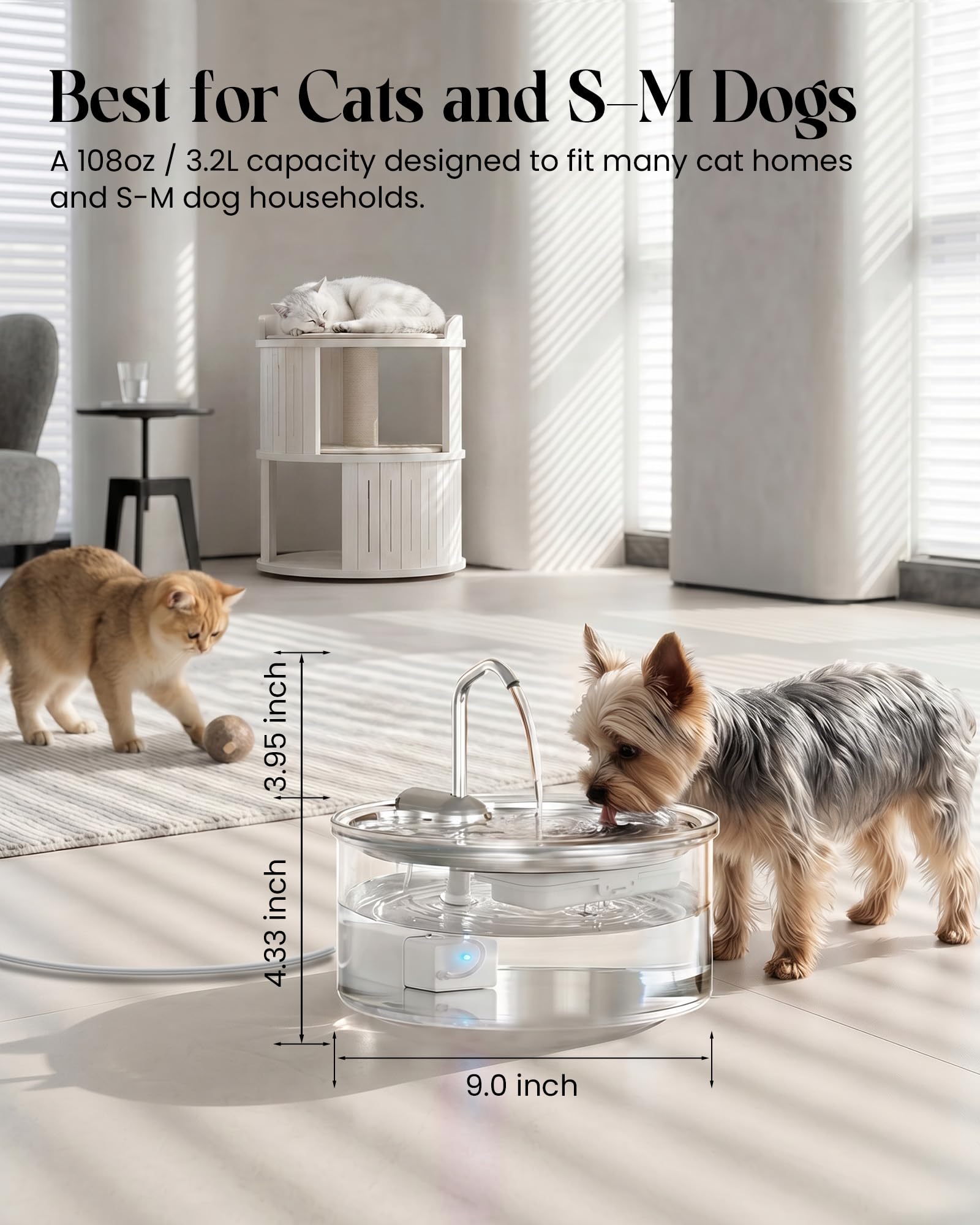 Tomxcute Fontana d'acqua in vetro per gatti, 3,2 l, ultra silenziosa, per bere, elegante e facile da pulire, per gatti, cani di piccola taglia, diversi animali domestici