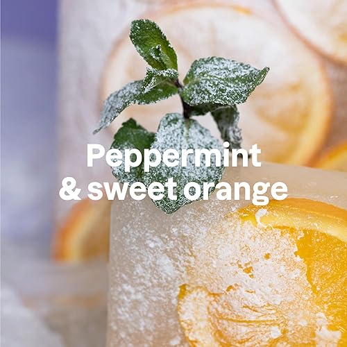 Miniatura 2 de Bundle of ATTITUDE Champú y Conditoner para el cabello con aceites esenciales, ingredientes a base de plantas y minerales, productos de belleza