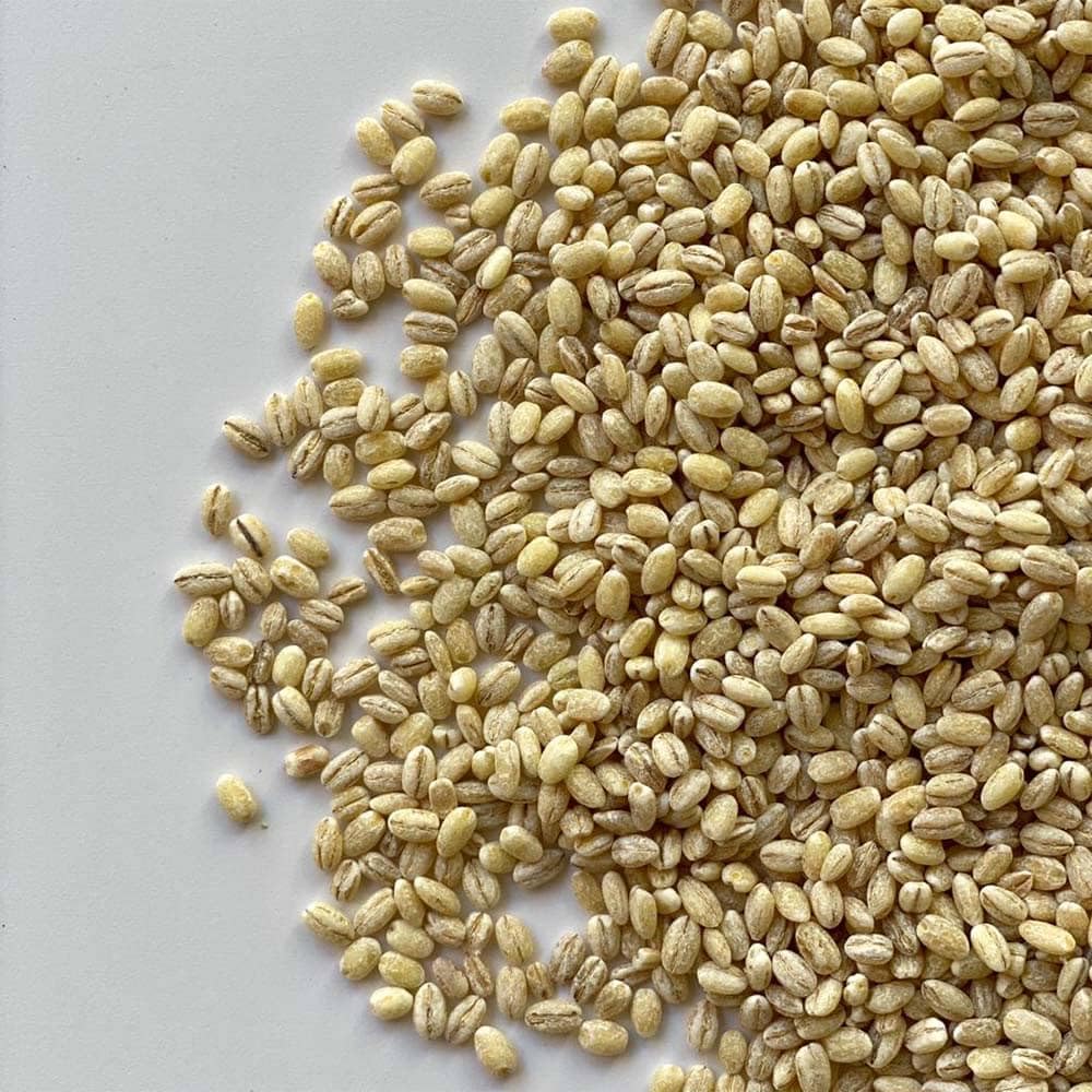 Il Contadino - Antichi Sapori | ORZO PERLATO ITALIA | Cereale Italiano Leggero e Nutriente, Ricco di Proteine e Fibre, Orzo di Qualità Premium, Senza Conservanti, Confezione Salva Freschezza (20 Kg)