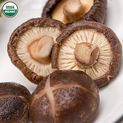 Miniatura 7 de VIGOROUS MOUNTAINS Setas Shiitake Deshidratadas Orgánicas USDA, Hongos Secos Deshidratados para Cocinar 4.23oz, 120g