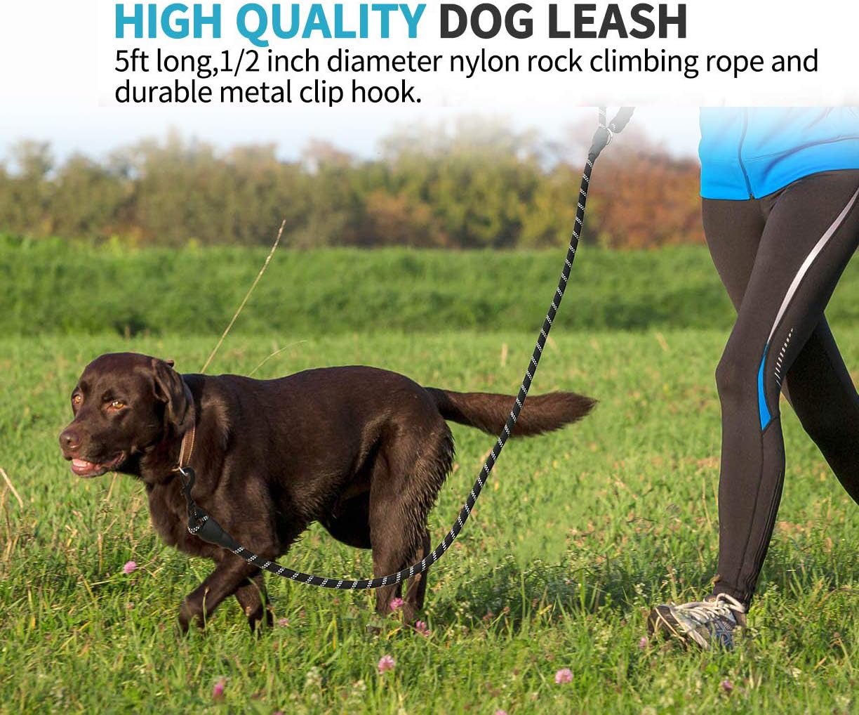 Firm and Comfortable Grip Dog Leash with Comfortable Padded Handle and Reflective Threads for Medium Large Heavy Duty or Small Dog (Black)
