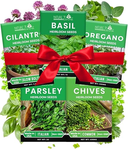 Kit variado de 5 semillas de hierbas, orégano, cilantro, perejil, albahaca, cebollino