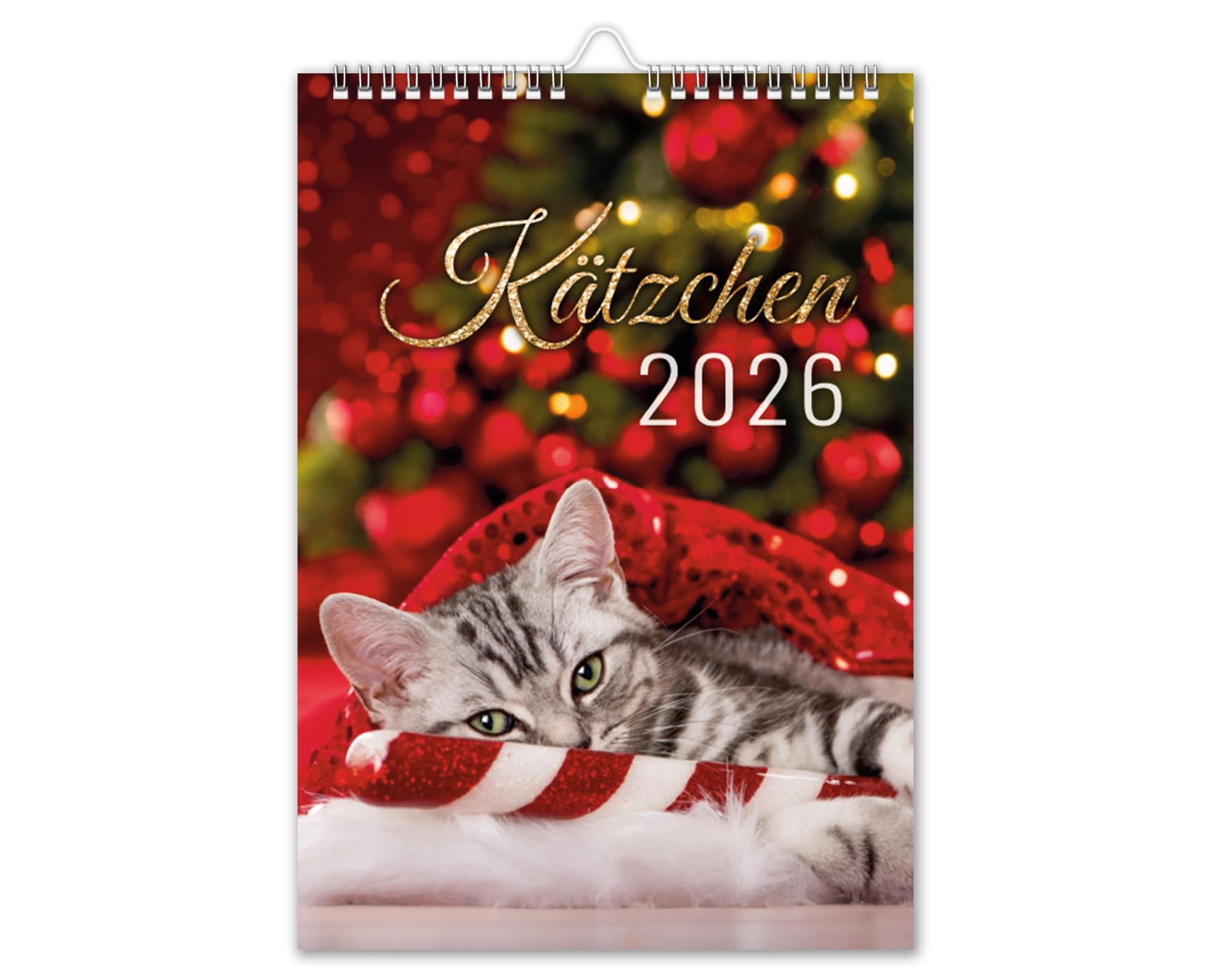 Kalender 2026 Kätzchen Katzen Wandkalender DIN A4 Katzenkalender mit Schulferien Katzen-Motiv Tiere festliches Motiv Weihnachtsmotiv V3