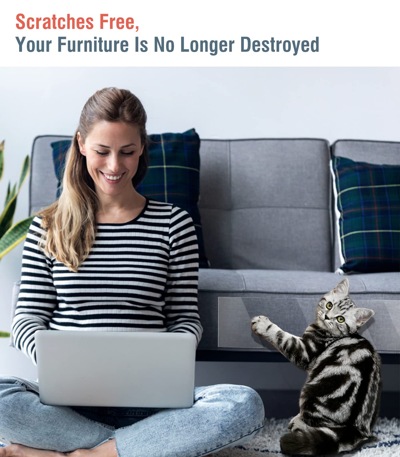 Kratzschutz Für Katzen - 10 Transparente Klebefolien Für Sofa & Möbel