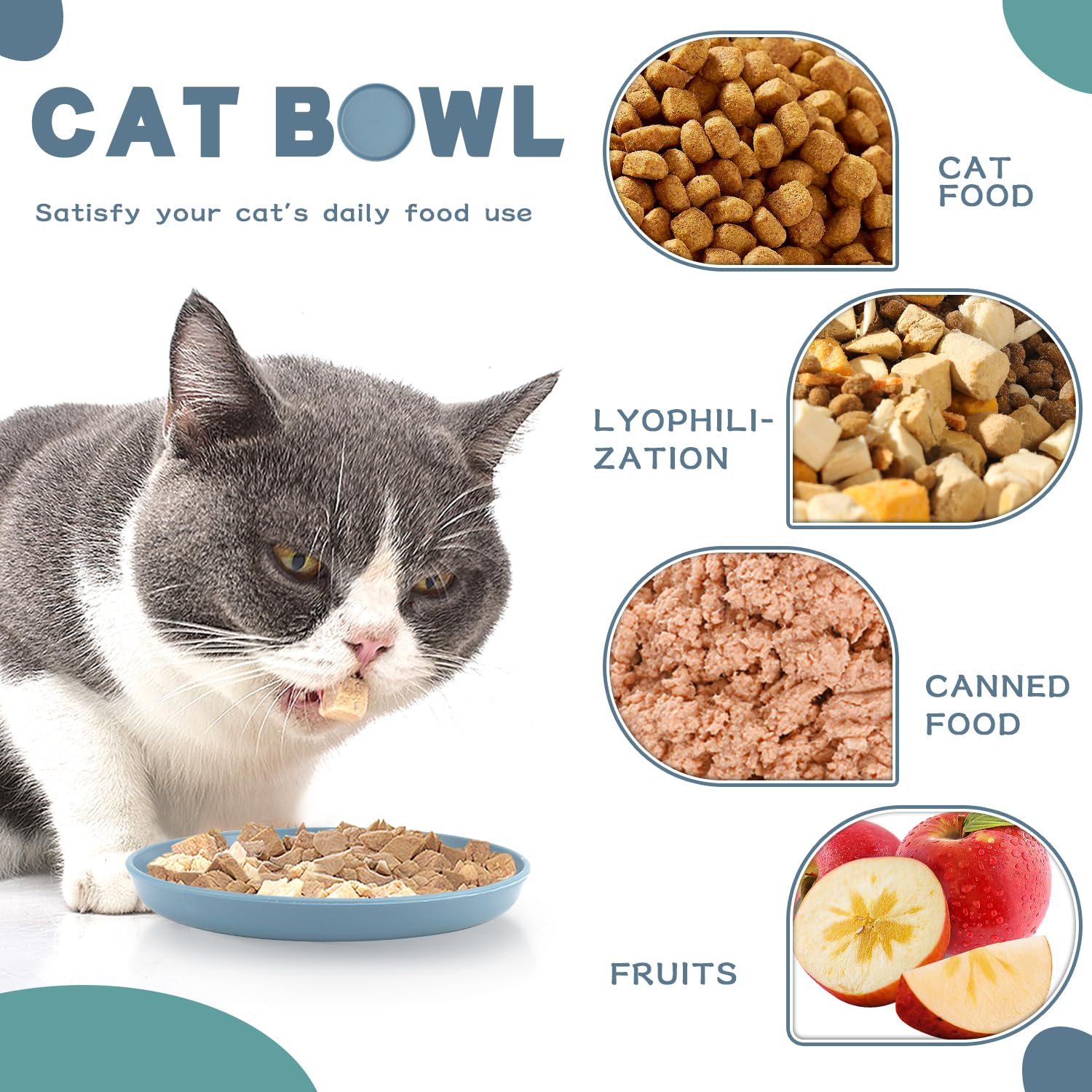 GMMG Ciotole per Gatti Ciotole Piatte per Gatti Poco Profonde Adatto a Gatti e Cuccioli (8 Pezzi)