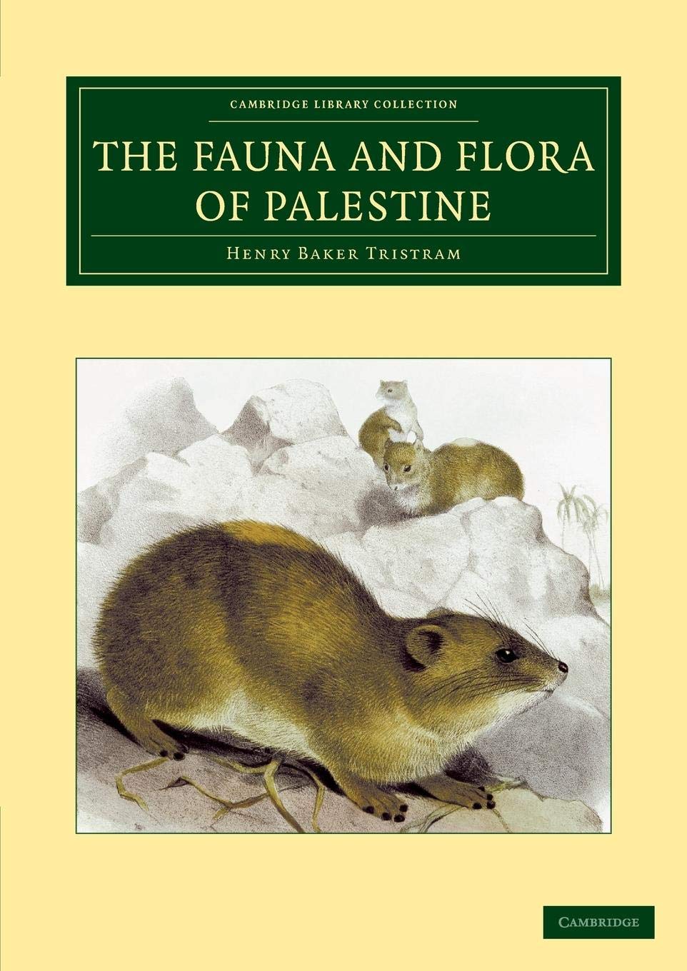 The Fauna and Flora of Palestine (Cambridge Library Collection - Botany and Horticulture)