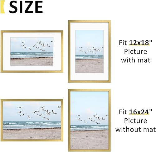 Vista 230 de Frametory, Los marcos de 16 x 20 pulgadas muestran imágenes de 11 x 14 pulgadas con paspartú o fotos de 16 x 20 pulgadas sin paspartú, vidrio Plata