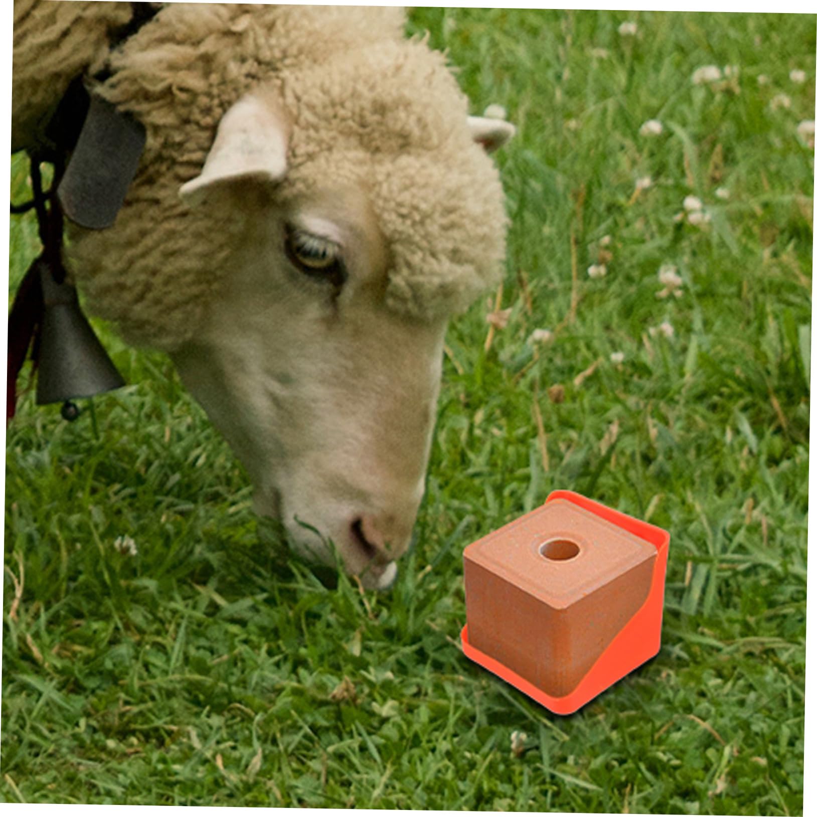Mipcase Salzlecksteinhalter aus Pe mit Vielseitiger Anwendung und Robustem Design Salzziegelkasten für Schafe und Rinder für Landwirte und Viehhalter im Außenbereich