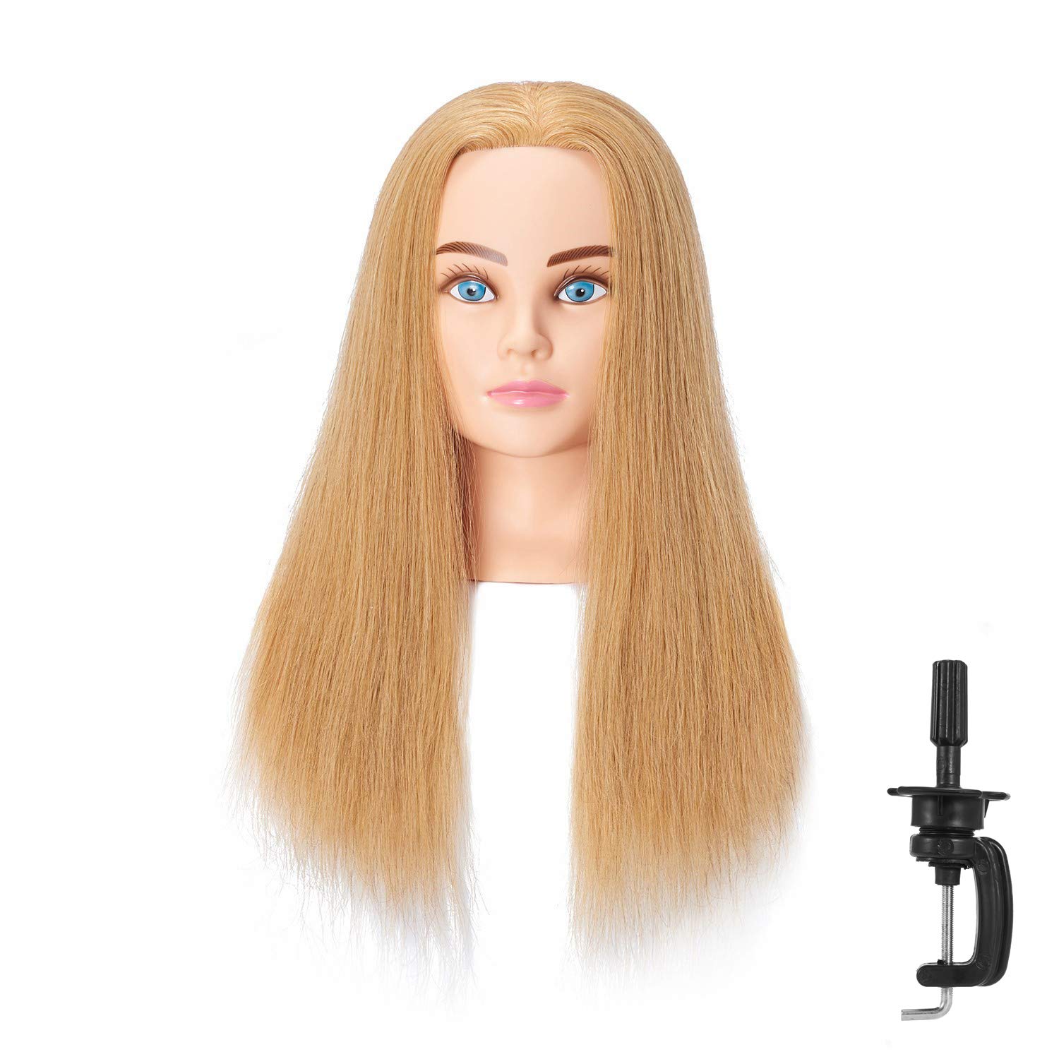Hairingrid Mannequin Head 24"-26"100% Human Hair Hairdresser Cosmetology Mannequin Manikin Training Head Hair and Free Clamp Holder (R71906LB0418H)