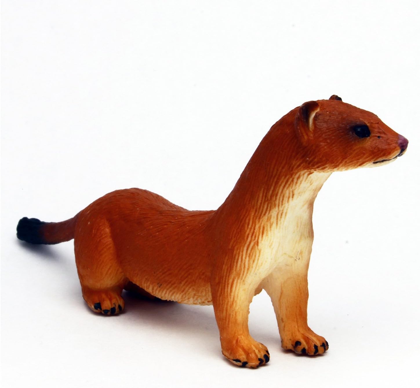 Amazon Co Jp プラッツ Mojo My Little Zoo ぼくの わたしのてのひら動物園 イタチ ホビー 通販