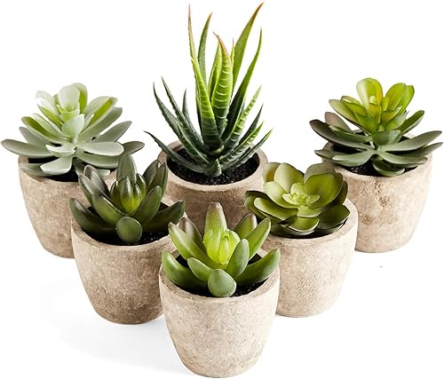 Miniatura 1 de PRIMAISON Juego de 6 plantas suculentas artificiales en maceta, plantas suculentas falsas decorativas, plantas de plástico sintético para interiores
