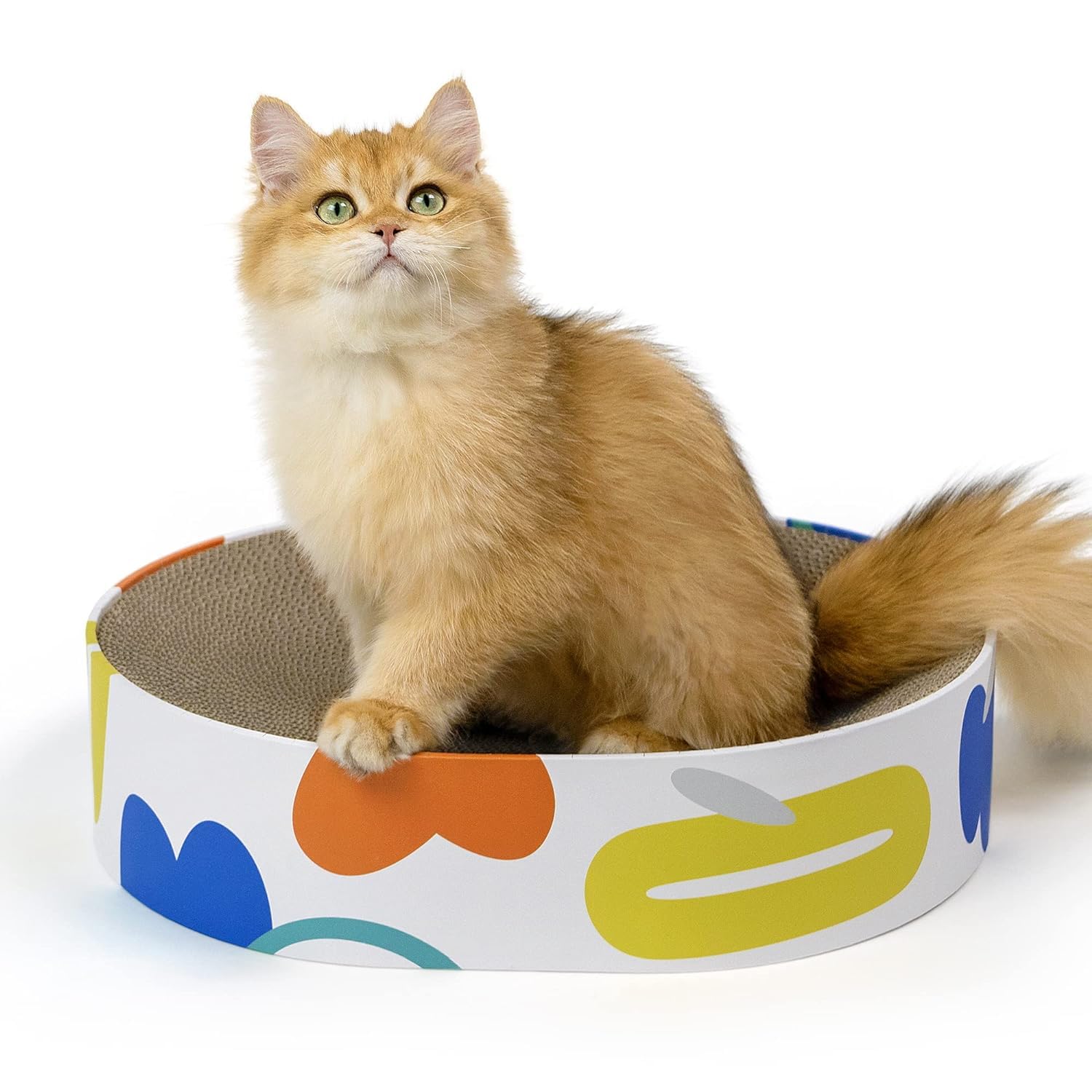 Dog Trust Cat Scratcher Cardboard,2 in 1 Oval Cat Scratch Pad Bowl Nest for Indoor Cats Grinding Claw,Round Cat Scratching Board Corrugated Lounge Cat Beds&Furniture (B0D6W359CD) Amazon Price History, Amazon Price Tracker