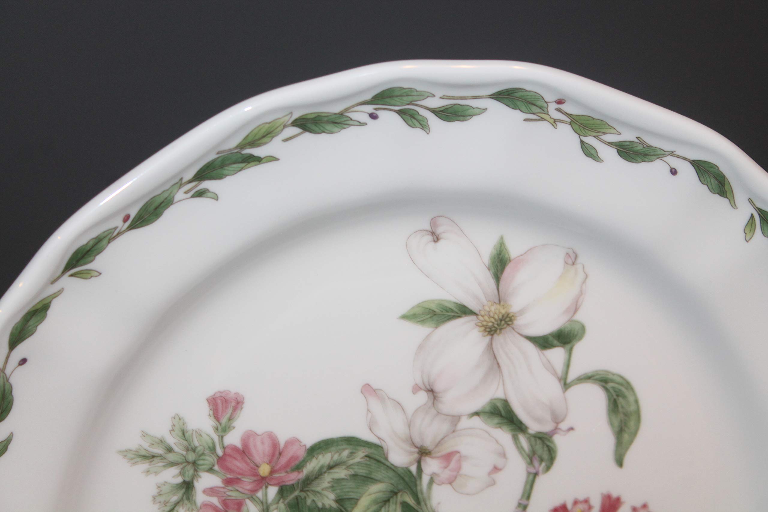 Amazon.com | Noritake Gourmet Garden Dinner Plate ~ Dogwood ~ Mint