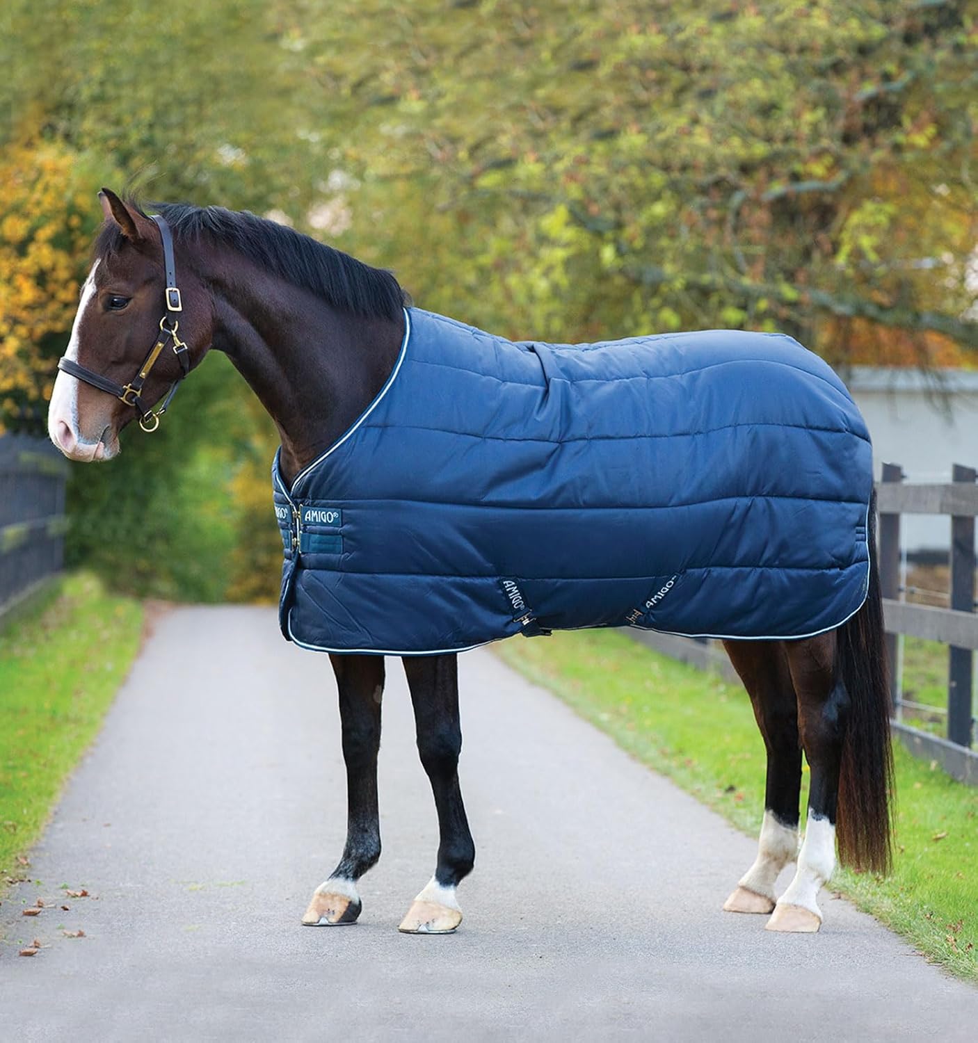 Horseware® Amigo® Insulator (350g Heavy)