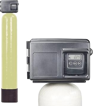 Silver 10 Air Injection Iron, Sulfur, manganese Removal Oxidizing Water Filter whole house
