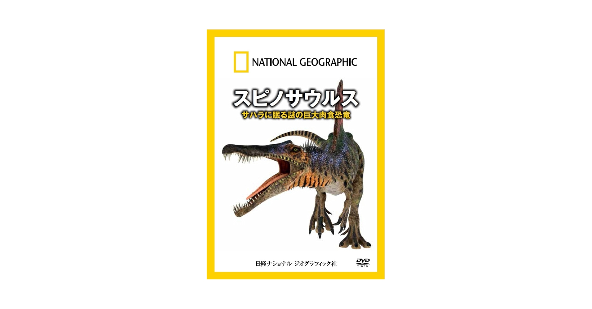 ナショナル ジオグラフィック スピノサウルス サハラに眠る謎の巨大肉食恐竜 [D Amazon.co.jp: ナショナル ジオグラフィック スピノサウルス