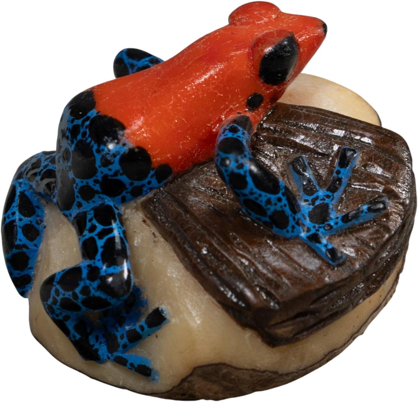 Golfodulcean Poison Dart Frog Tagua Nut Sculpture, Hand Painted Vegetable Ivory Collectible, Made in Panama by Embera Wounaan Artisans
